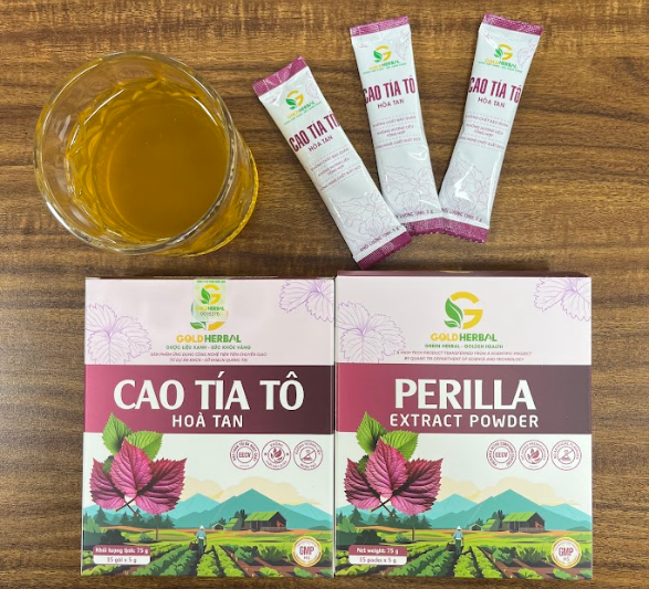 Hoạt chất Rosmarinic Acid trong tía tô là gì? Công nghệ bào chế cao hòa tan Gold HerBal